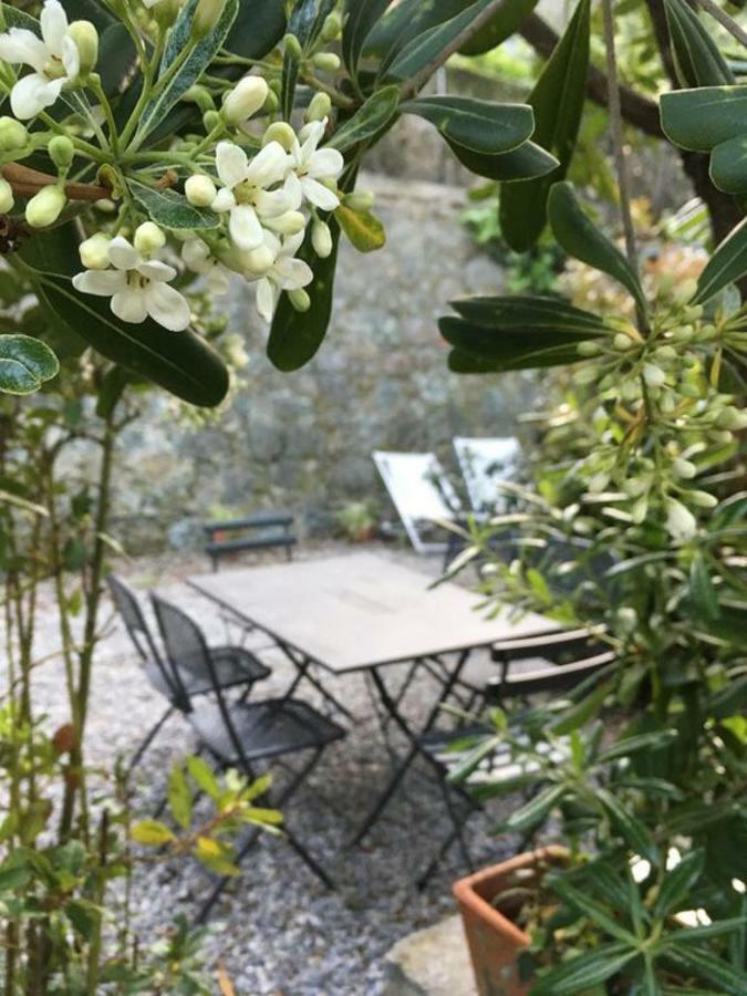 Il Nido - By The Sea - Ac Apartment Monterosso al Mare Bagian luar foto